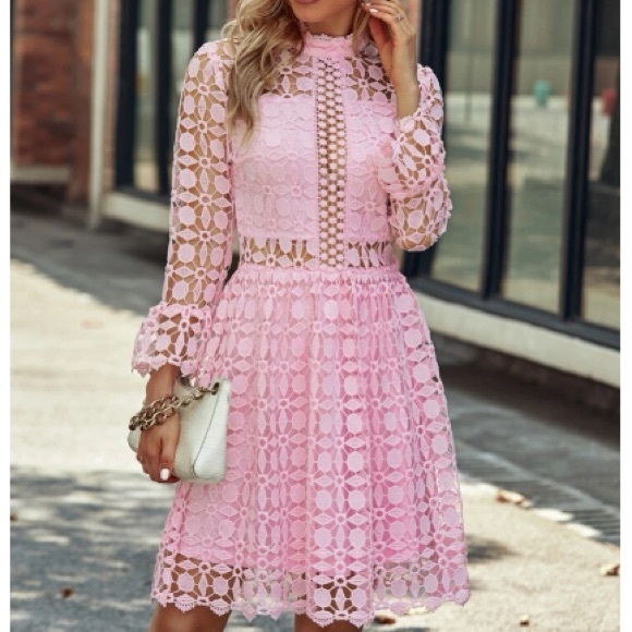 Luxurious mesh insert lace dress